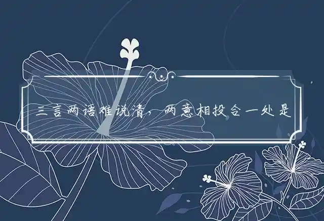 三言两语难说清,两意相投合一处是什么生肖