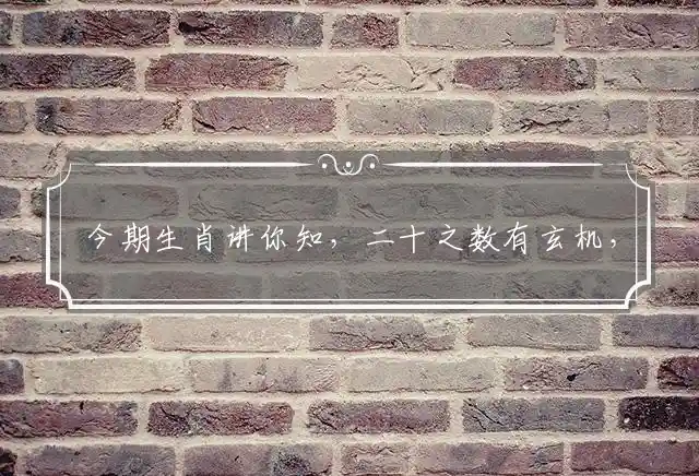 今期生肖讲你知,二十之数有玄机,四下五上是灵码,特马四二不用查是什么生肖